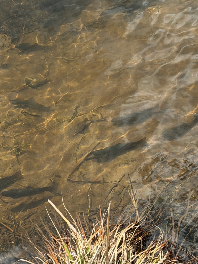 Misc thumbnail 27